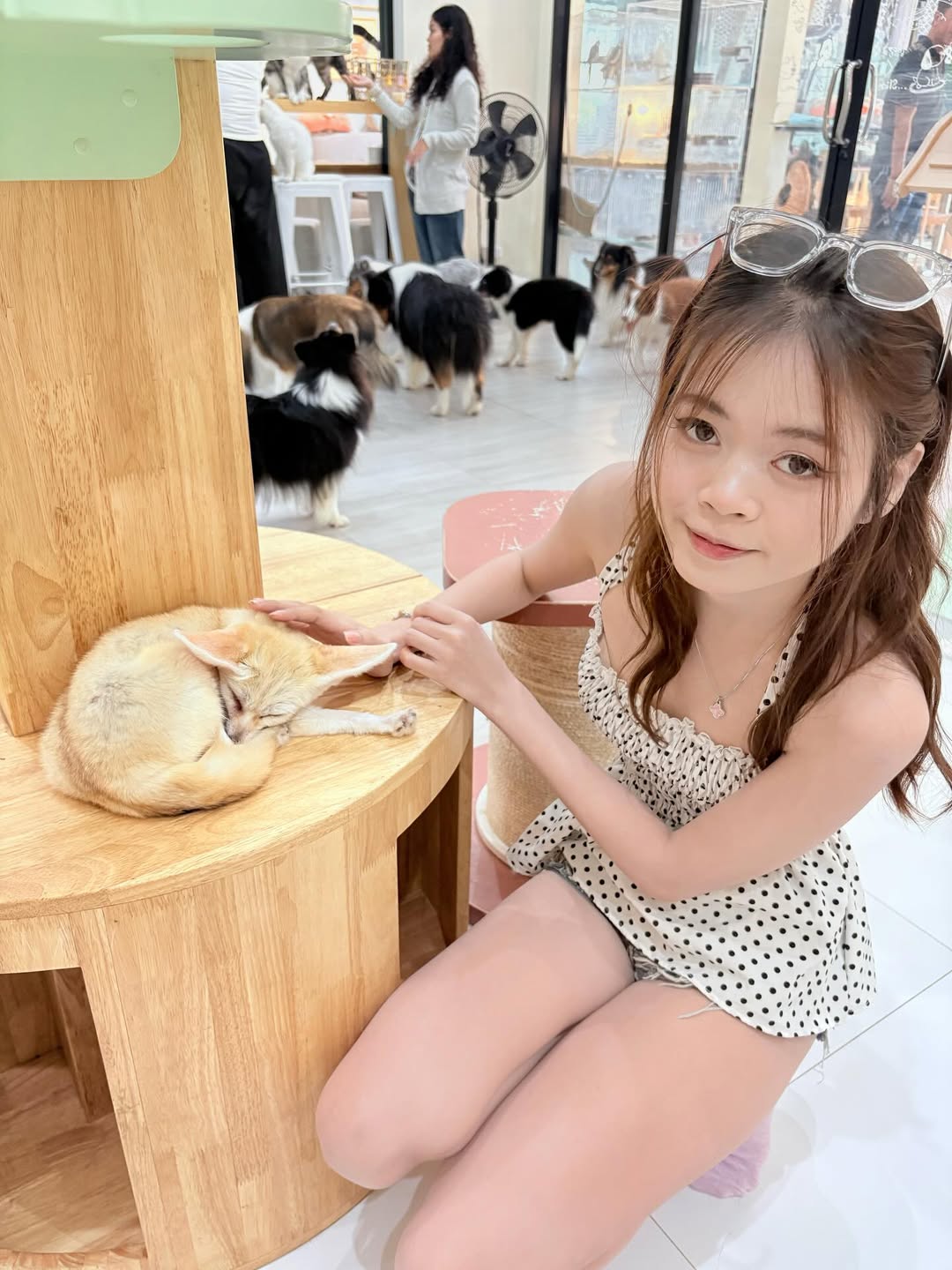 ณชา chanaa2002 Onlyfans สาวสวย 18+ หน้าหมวย ไซส์มินิ 12